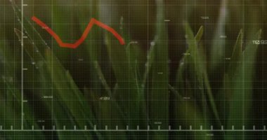 Çiğ çimenlerin yakın plan üzerinde dalgalanan kırmızı çizgi grafiği. Finans, ekonomi, büyüme, düşüş, doğa, çevre