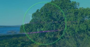 Yeşiller ve finansal veri animasyonları verimli kıyı manzarası üzerinde. Finans, yatırım, doğa, çevre, teknoloji, veri görselleştirme