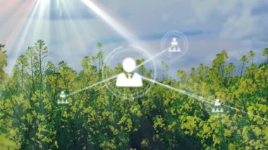 Yeşil alan manzarası üzerinde bağlantılar ve veri işleme animasyonu ağı. Teknoloji, bağlantı, ağ, dijital, iletişim, yenilik