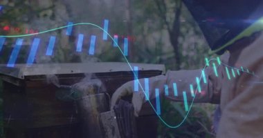 Kovan bakımı, arı yetiştiricisi açık havada animasyon eşliğinde finansal verileri analiz ediyor. Arıcılık, arıcılık, tarım, sürdürülebilirlik, analitik, teknoloji