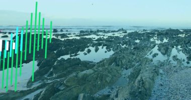 Önplanda renkli veri canlandırma animasyonuyla kayalık kıyı manzarası. Doğa, okyanus, dijital, teknoloji, fütüristik, soyut