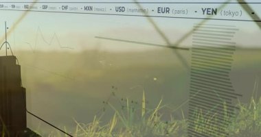 Finansal grafiklerin ve döviz kurlarının güneşli arazide canlandırılması. Finans, yatırım, ekonomi, borsa, ticaret, veri