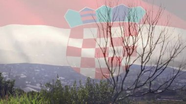 Çıplak ağaç ve uzak şehir manzarasıyla Hırvat bayrağını dalgalandırıyordu. Vatanseverlik, ulusal gurur, kırsal kesim, panoramik, manzara, kutlama
