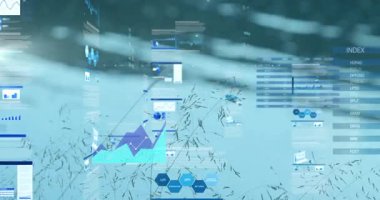 Soyut mavi ve beyaz arkaplan üzerindeki veri tabloları ve grafikleri. Analizler, istatistikler, veri görselleştirmesi, bilgi grafikleri, rapor, sunum