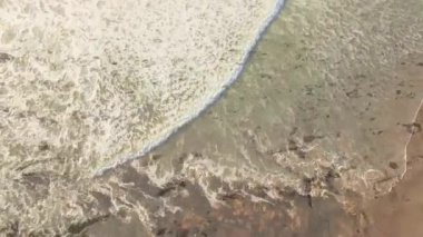 Dalgalar kumlu sahilde ayak izleri ve etrafa saçılmış deniz yosunlarıyla süzülüyor. Okyanus, sahil, sahil, doğa, kıyı şeridi, huzur