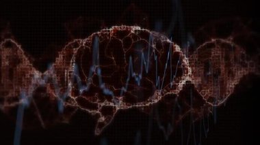 Dijital dalga biçimi ve dairesel desenler dinamik veri görselleştirme animasyonu yaratıyor. teknoloji, soyut, fütüristik, yenilik, analitik, devre