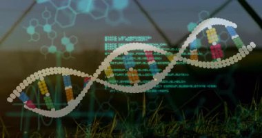 İkili kodlama ile DNA ipliği, bilimsel verileri animasyon tarzında işliyor. Biyoteknoloji, genetik, dijital, yenilik, bilim, araştırma
