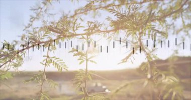 Yapraklı ve ölçekli güneşli manzara animasyon sahnesini örtüyor. Doğa, güneş ışığı, çevre, yeşillik, manzara, dijital