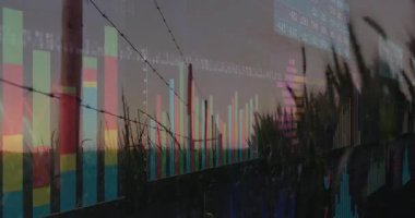 Dikenli telleri ve mısır tarlası animasyonunu kaplayan finansal veri tabloları. Finans, tarım, ekonomi, yatırım, büyüme, güvenlik