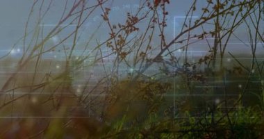 Günbatımında endüstriyel arazide veri ölçümlerini gösteren animasyon. Teknoloji, yenilik, endüstri, analitik, veri görselleştirme, ilerleme