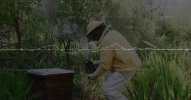 Okulda, arı yetiştiricisinin veri görselleştirme kovanına baktığını gösteren animasyon. Arıcılık, sürdürülebilirlik, koruma, bal, analiz, teknoloji