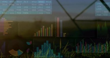 Finansal veri tabloları ve grafikleri gün batımında çimenli manzaranın üzerinde. Finans, analitik, büyüme, doğa, sürdürülebilirlik, yatırım