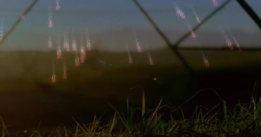 Çimenli ve uzak tepeli manzaralı ikili kod animasyonu. Dijital, teknoloji, kodlama, veri, sanal, programlama