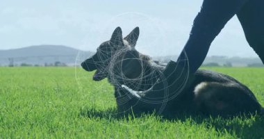 Otlak arazide, köpek yanında oturan Geometrik animasyon örtüsü. Köpek, hayvan, arkadaşlık, dijital, soyut, açık hava