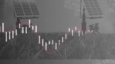 Sahadaki güneş panelleri çimlerin üzerinde veri grafik animasyonu. Yenilenebilir enerji, teknoloji, sürdürülebilirlik, çevre, yenilik