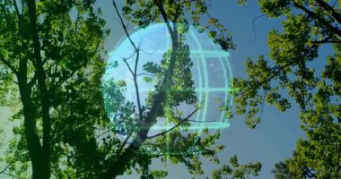 Tasarımcı, sanal dünya küre üzerinde yer alan teknolojik arayüzü kullanarak orman tepe örtüsünü keşfediyor. Doğa, dijital, sürükleyici, fütürist, çevresel, sanal, yenilikçi