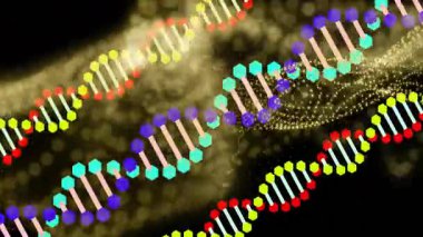 Karanlık uzayda yüzen stilize DNA çift sarmallı altıgen düğümleri ve altın parçacık dalgaları. Fütüristik, mikrobiyoloji, dijital sanat, biyoteknoloji, bilim, soyut, yenilik