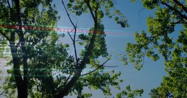 UX tasarımcıları orman temasını araştırıyor, teknoloji teması olarak kırmızı deniz mavisi çizgileri kullanıyorlar. Doğa, dijital sanat, arıza etkisi, teknoloji, organik, fütürist, çevresel