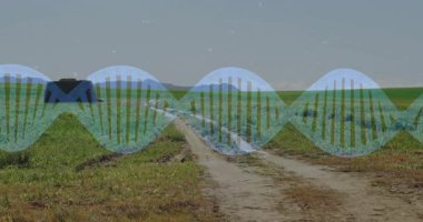Yeşil tarlaları kesen toprak yol, kırsal alanlarda yüzen dijital DNA sarmalı. Kırsal, peyzaj, tarım, arazi, biyolojik çeşitlilik, sürdürülebilirlik, manzara
