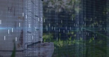 Dış çıkıntının üzerinde yüzen hareketli ticaret şeması fiyat çubuklarını ve kaydırma verilerini gösteriyor. Finansal, veri, dijital, açık hava, doğa, teknoloji, yatırım