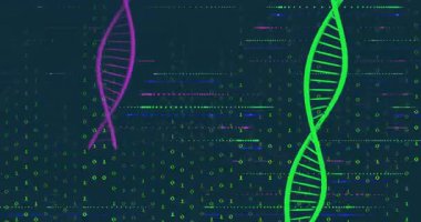 Neon yeşili morumsu DNA sarmalları koyu deniz mavisi arayüzü üzerinde dönüyor, parlayan ikili kod. Dijital, teknoloji, fütüristik, yenilik, genetik, veri, görselleştirme