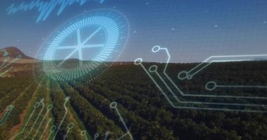 Üzüm bağı sıralarını kaplayan dijital holografik gösterge düz dizaynlı devre şablonları içeriyor. Teknoloji, fütürizm, yenilik, arayüz, veri görselleştirme, çevre dostu, doğa