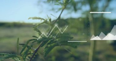 Düz tasarım çayırında yükselen çizgi ve çubuklarla şeffaf ızgarayı gösteren veri görselleştirme örtüsü. Doğa, analitik, teknoloji, minimalizm, açık hava, büyüme, ilerleme