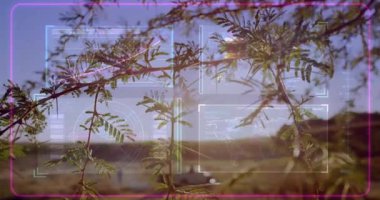 HUD 'de yeşil yapraklar taşıyan dallar tarama çerçeveleri, grafikler, radar, dünya haritası. Fütüristik, veri görselleştirme, doğa, bağlantı, teknoloji, kırsal, keşif