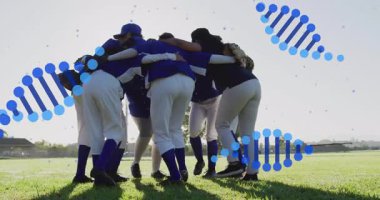 Çim sahasında toplanan bayan beyzbol takımı animasyon spor performans çizelgeleri sergiliyor. Atletizm, takım çalışması, yoldaşlık, açık hava, rekabetçi, enerjik, fitness