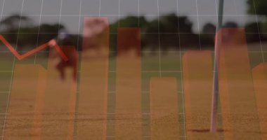 Kriket atıcısı, turuncu çizelgeleri ve spor analitiği grafiğini gösteriyor. Atletizm, veri görselleştirme, spor bilimi, açık hava ortamı, performans analizi, rekabetçi, modern