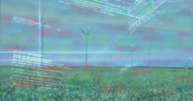 Sarı kır çiçeği tarlasında dönen rüzgar türbinleri veri haritaları ve ikili kodlar. Yenilenebilir enerji, sürdürülebilir, çevre dostu teknoloji, gelecekçi, çevresel, doğa