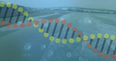 Dünya simgeleri ve ağ sembollerini gösteren yarı şeffaf bir ağ zinciri animasyonu. Teknoloji, bağlantı, yenilik, fütürizm, iletişim, dijital, ağ