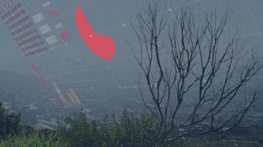 Veri görselleştirmesi sisli vadinin üzerinde süzülerek turta grafikleri ve ızgara çizgileri gösteriyor. Soyut, bilgi, fütüristik, teknoloji, veri, analiz, uzaysal