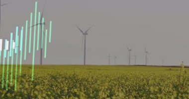 Merkezi rüzgar türbini sarı ekin alanı üzerinde dönerken dijital veri çubukları düz tasarımda yükseliyor. Yenilenebilir, sürdürülebilirlik, enerji, çevre, kırsal, teknoloji, manzara