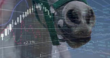 Finansal tabloların üzerinde yüzen yeşil boyunluk takan inek ağızlık şamdanın yükseldiğini gösteriyor. Tarım, finans, veri görselleştirme, dijital, teknoloji, yatırım, çiftlik hayvanları