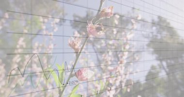 Çiçek açan dallar düz tablolarda yüzdelik veri noktalarıyla pembe çiçekleri harmanlıyor. Finans, doğa, büyüme, analitik, ilkbahar, teknoloji, çevre