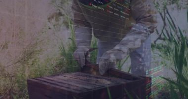 Arı yetiştiricisi bahçede kovan çerçevesini yükseltiyor, yarı saydam borsa grafikleri sergiliyor. Doğa, finans, analitik, açık hava, profesyonel, büyüme, teknoloji