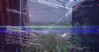 Göl kıyısı sahnesinde, şebeke çizgileri ve kalp verileriyle tahta kayıkhane görselleştiriliyor. Peyzaj, dijital, rustik, teknoloji, sükunet, su, ufuk