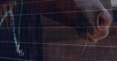 Dijital finansal tablo bulanık yan profilde düz UI 'de canlandırılıyor, şamdan çubuklarını gösteriyor. Finans, analitik, görselleştirme, teknoloji, yatırım, pazar, yenilik