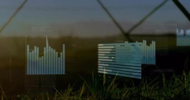 Bulanık çimen alanını cam ızgarada barfiks ve histogram ile gösteren veri örtüsü. Analizler, görselleştirme, bilgi, modern, açık hava, teknoloji, dijital