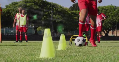 Çimenli alanda antrenman yapan takım, sağlık eğitimi için canlandırmalı performans grafikleriyle. Sporcular, takım çalışması, spor, fitness, antrenman, açık hava, dinamik