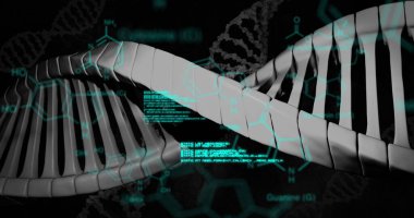 Mavi arka planda dönen DNA yapısı ve bağlantı ağı üzerinde veri işleme. tıbbi araştırma ve bilim teknolojisi kavramı