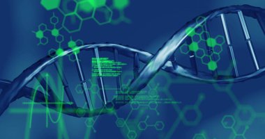 Mavi arka planda dönen DNA yapısı üzerinde tıbbi veri işleme. tıbbi araştırma ve bilim teknolojisi kavramı