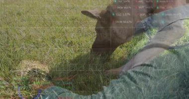Açık hava parkında çim koklayan köpek, AR ızgara kaplamalı ve yüzen teknoloji yüzdeleri etiketli. Köpek, açık hava, modern, veri görselleştirme, teknoloji, alarm, analitik