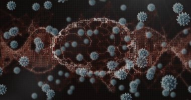 Beyin ve siyah arkaplan üzerindeki virüs hücrelerinin görüntüsü. Coronavirus covid 19 salgını sırasında dijital olarak üretilen görüntü.