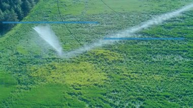 3D merkez pivot sulama kolu güpegündüz yeşil ekin sıralarına su püskürtüyor. Tarım, sürdürülebilirlik, sulama, tarım, kırsal, manzara, teknoloji