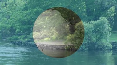 Nehir kenarındaki ormanın üzerinde yüzen saydam küre, Afrika ve Avrupa 'yı gösteriyor, sakin suyu yansıtıyor. Küresel, manzara, sükunet, doğa, eko, yansıma, sükunet