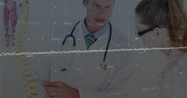 Doktor ve klinisyen muayene odasındaki omurga modeli verileri yüzen grafikler gösteriyor. Tıbbi, sağlık, profesyonel, klinik, eğitim, tanı, bilim