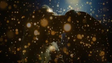 Yüzen altın ışık parçacıklarıyla çevrili loş bir müzik sahnesinde performans sergileyen kadın şarkıcı. Performans, sahne, spot ışığı, atmosfer, sanatçılık, eğlence, dramatik