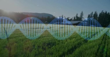 Çiftlik arazisi sahnesini kaplayan DNA sarmalları siloların ve yemyeşil alanların yakınındaki güneş ışığını gösteriyor. Tarım, sürdürülebilirlik, biyoteknoloji, kırsal, manzara, organik, büyüme